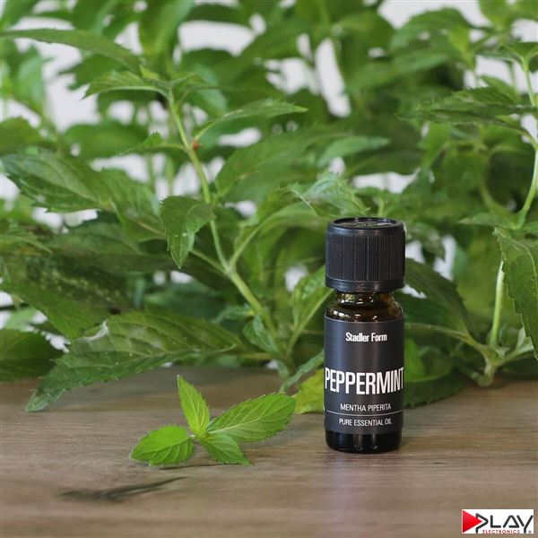 Stadler Form Peppermint