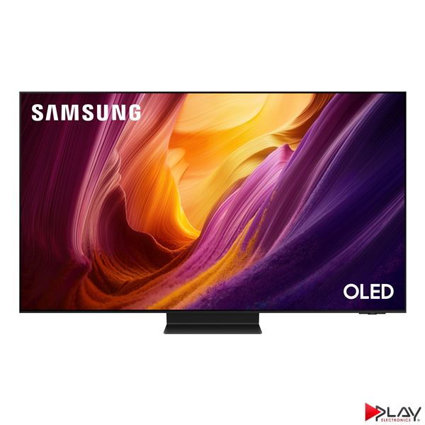 Samsung QE55S95H
