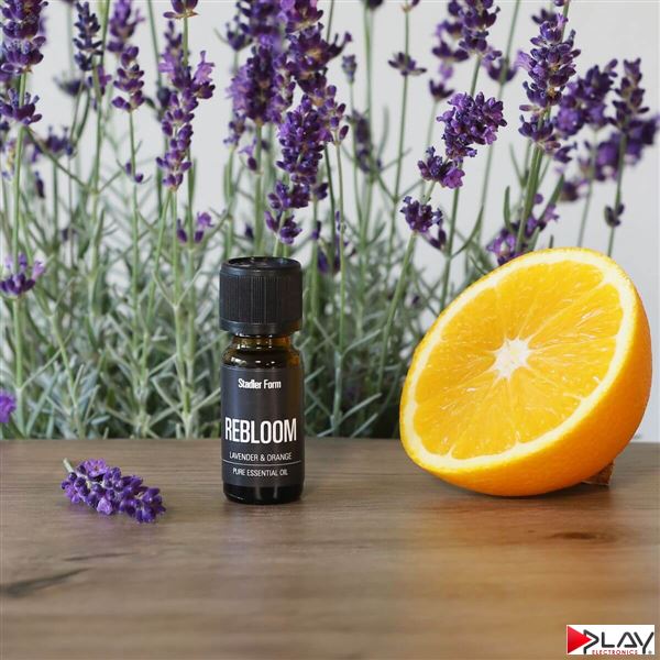 Stadler Form Rebloom